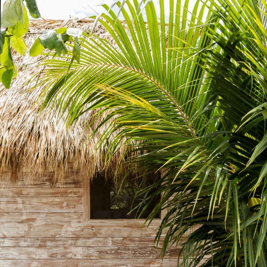 Suyo Cabanas Popoyo | Hotel Suyo El Limón Zewnętrze zdjęcie